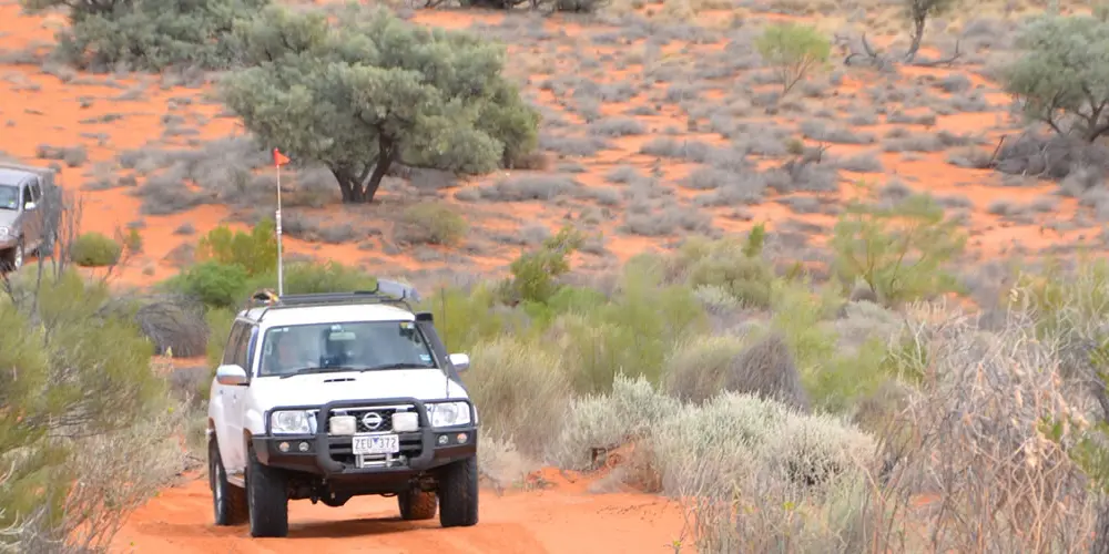 Outback